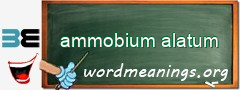 WordMeaning blackboard for ammobium alatum